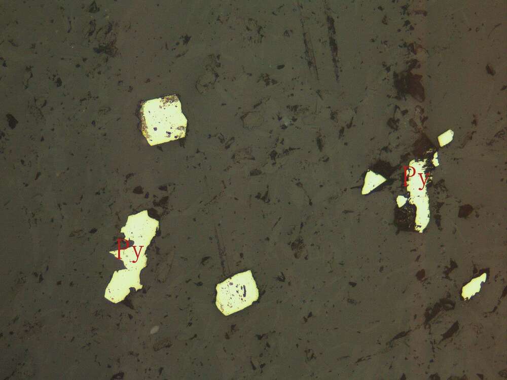 钛铁矿、黄铁矿