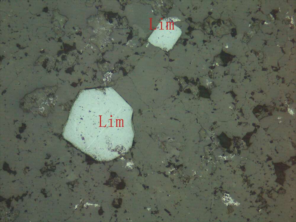 白钛石、褐铁矿