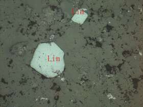 白钛石、褐铁矿