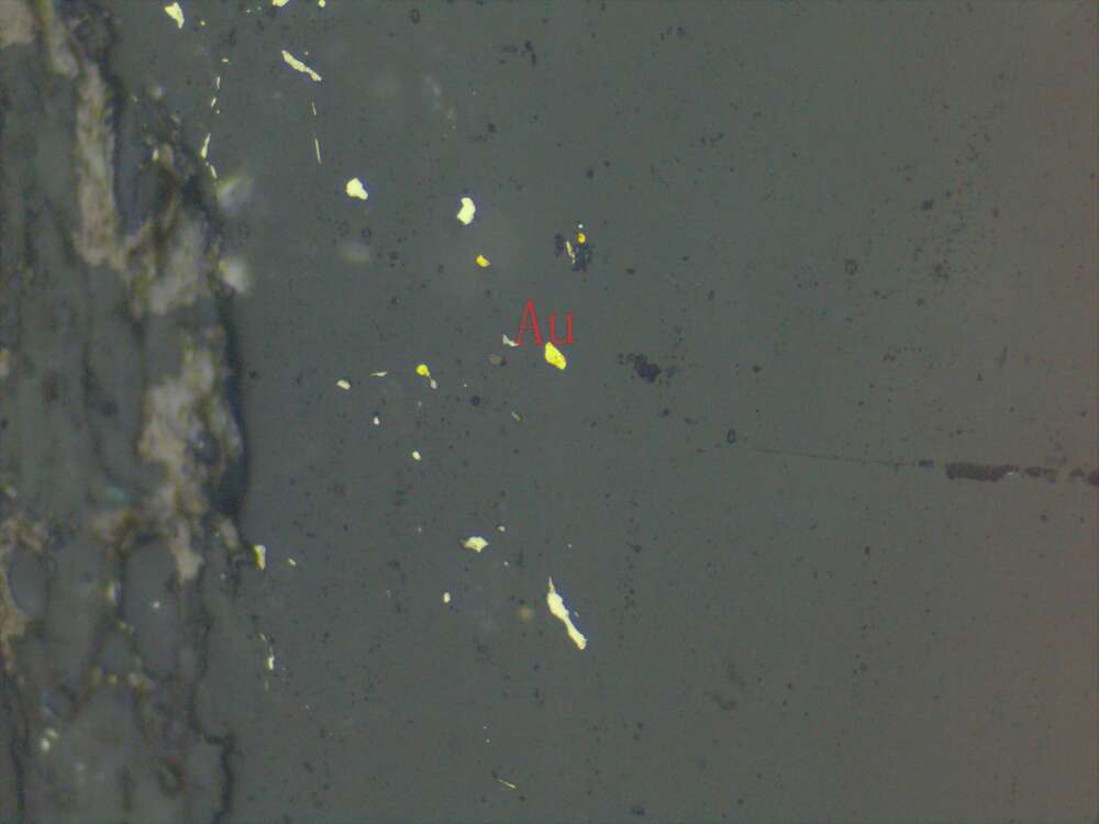 含黄铁矿、白钛石、褐铁矿、金矿石