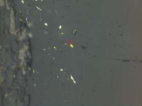 含黄铁矿、白钛石、褐铁矿、金矿石