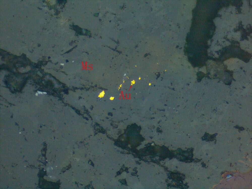 包裹金--裂隙金 