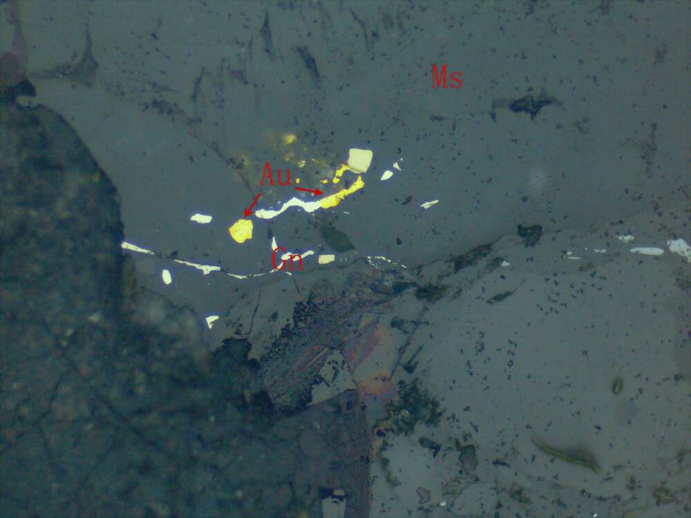 包裹金--裂隙金 