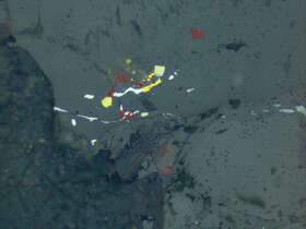 包裹金--裂隙金 