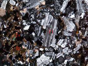 轻度碎裂化蚀变细粒闪长岩