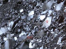 强片理化岩屑石英砂岩