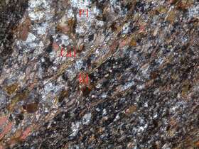 片理化蚀变闪长玢岩