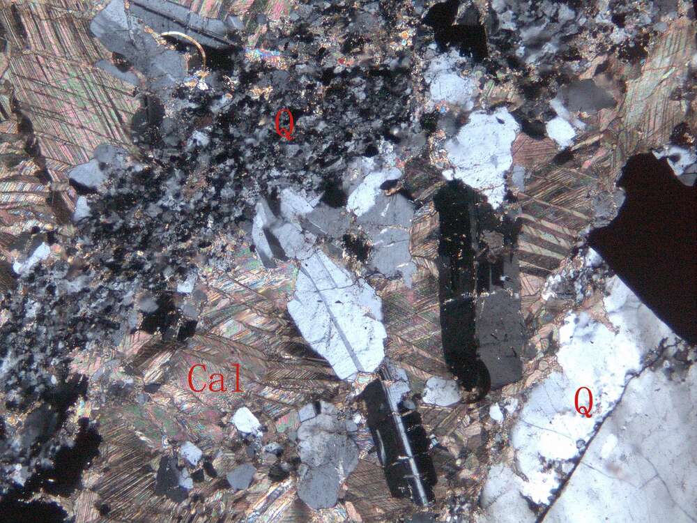 全碳酸盐化硅化闪长岩（？）