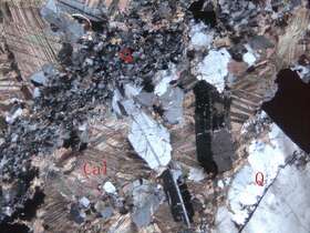 全碳酸盐化硅化闪长岩（？）