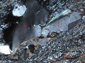 片理化蚀变斜长花岗斑岩