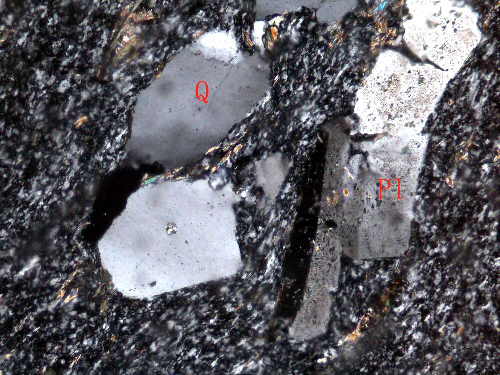 碳酸盐化硅化片理化斜长花岗斑岩