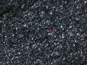 含石墨泥质粉砂岩（泥质粉砂状板岩）