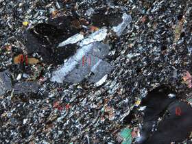 弱片理化蚀变闪长玢岩