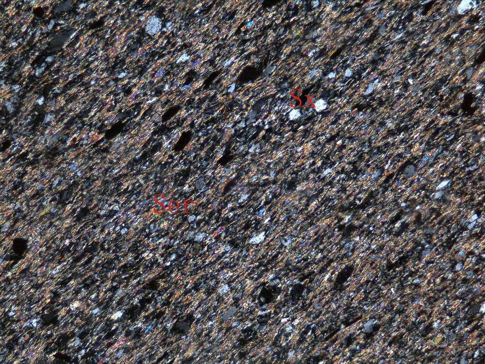 千枚岩化泥质粉砂岩