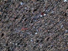 千枚岩化泥质粉砂岩