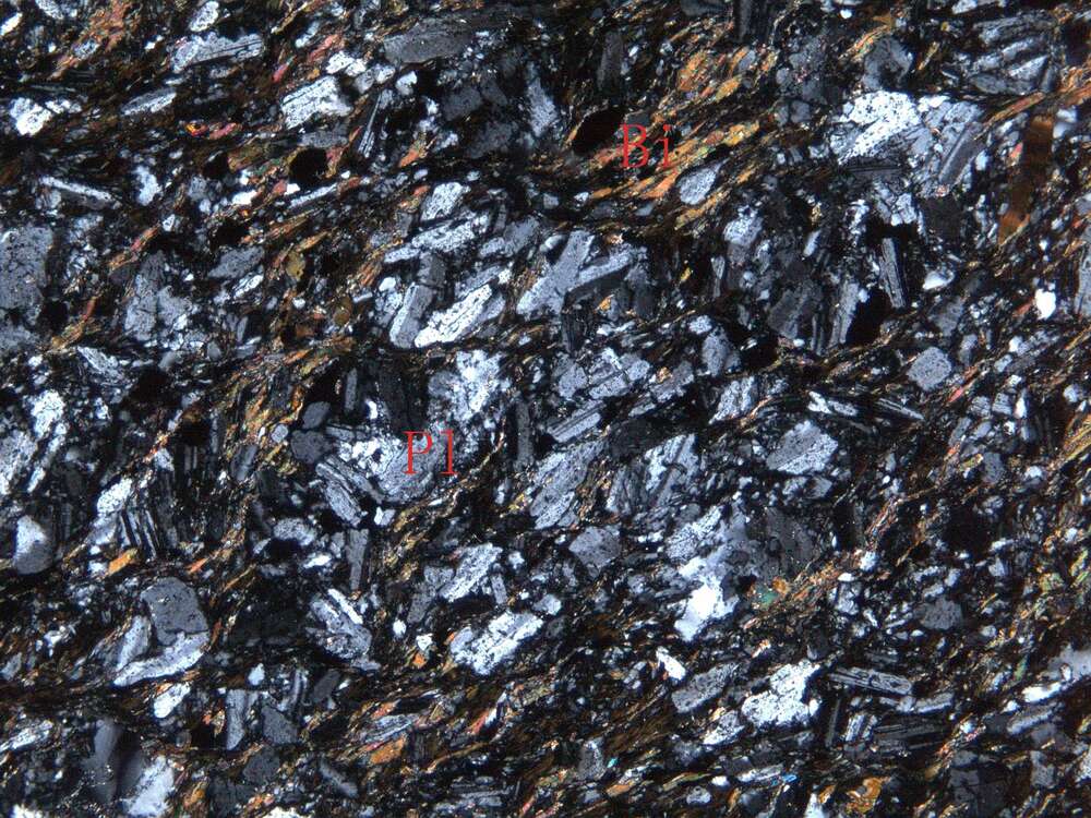 片理化蚀变细粒闪长岩