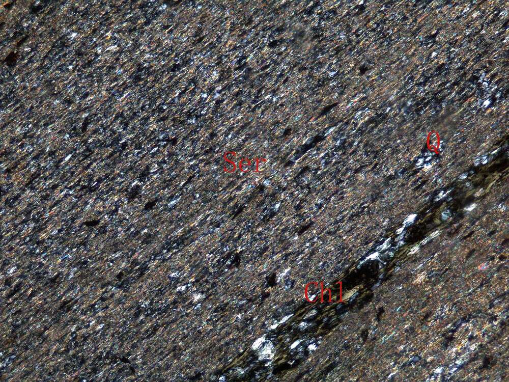 千枚岩（千枚岩化泥质粉砂岩）