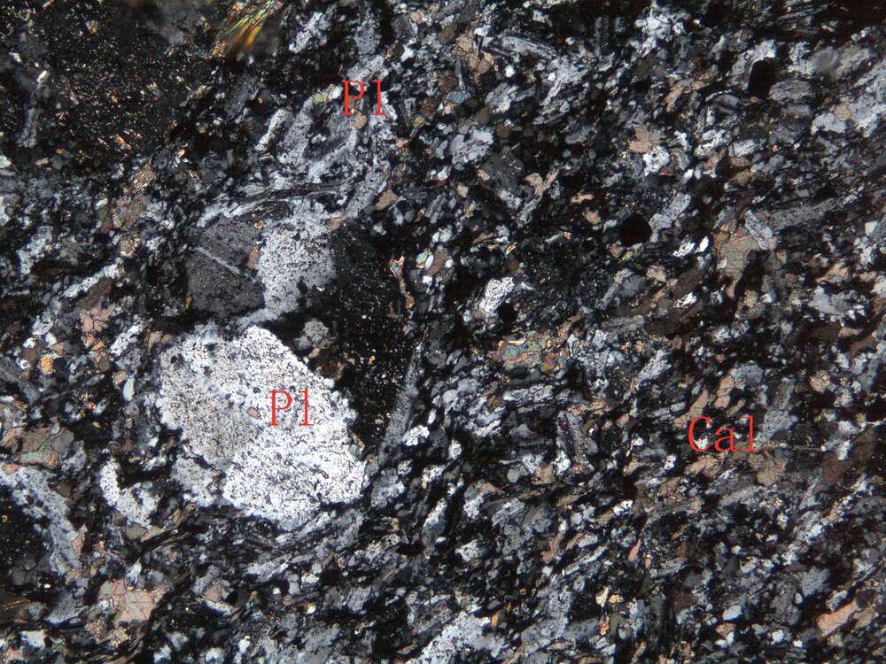 片理化蚀变闪长玢岩