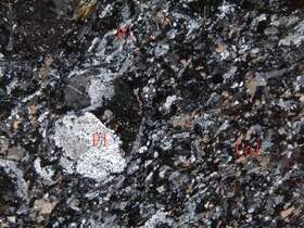 片理化蚀变闪长玢岩