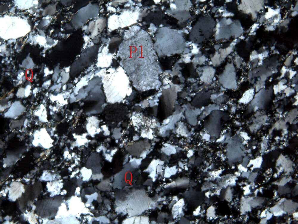 变质中粒石英砂岩