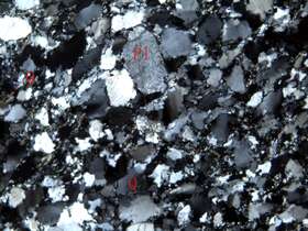 变质中粒石英砂岩