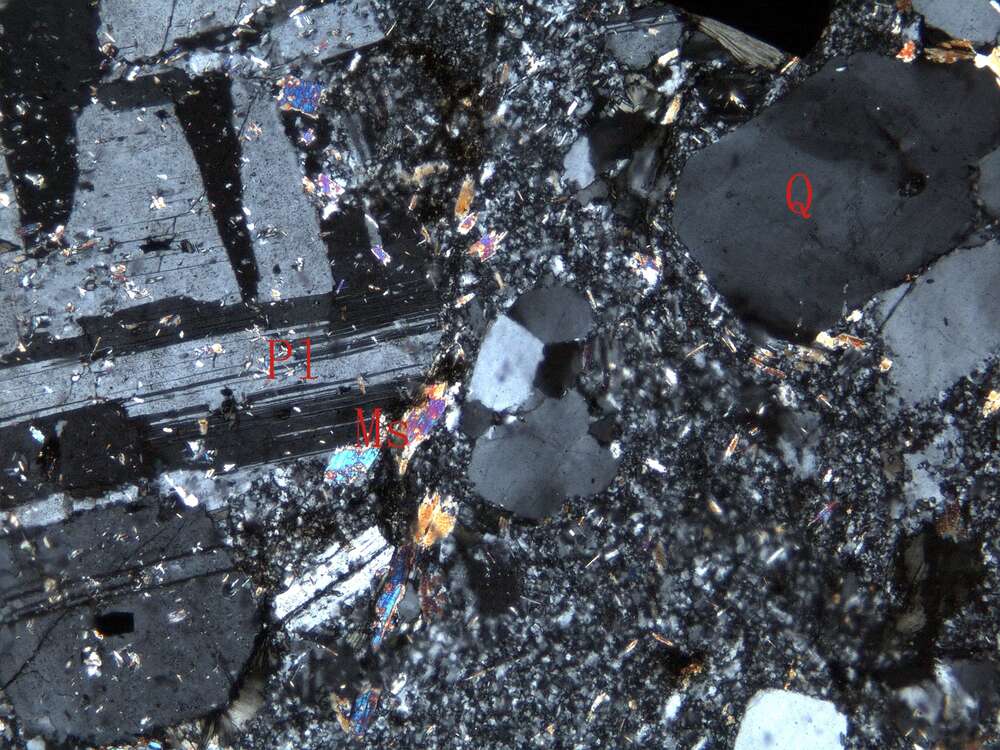 黄铁矿化蚀变石英闪长玢岩