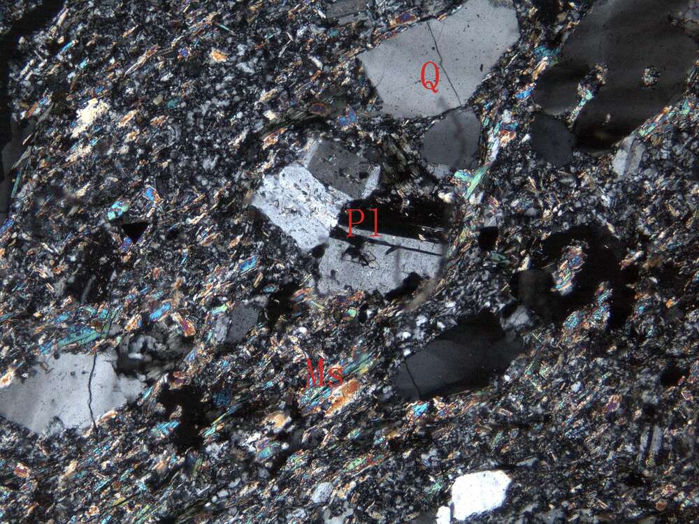 片理化蚀变石英闪长玢岩