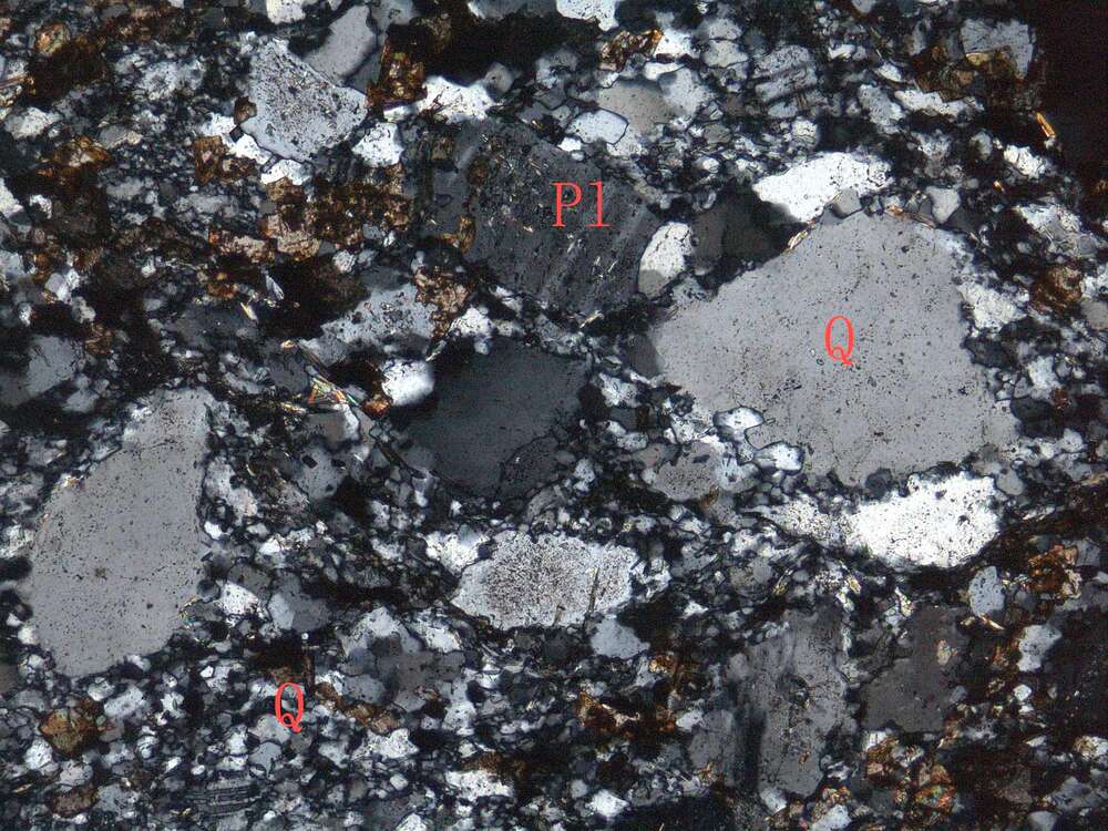 白云石化硅化闪长玢岩（？）