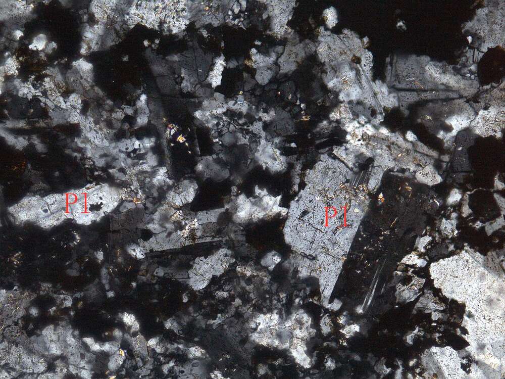 碎裂化蚀变细粒闪长岩