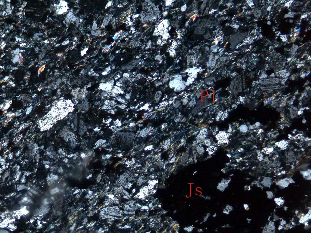 片理化褐铁矿化硅化蚀变细粒闪长岩