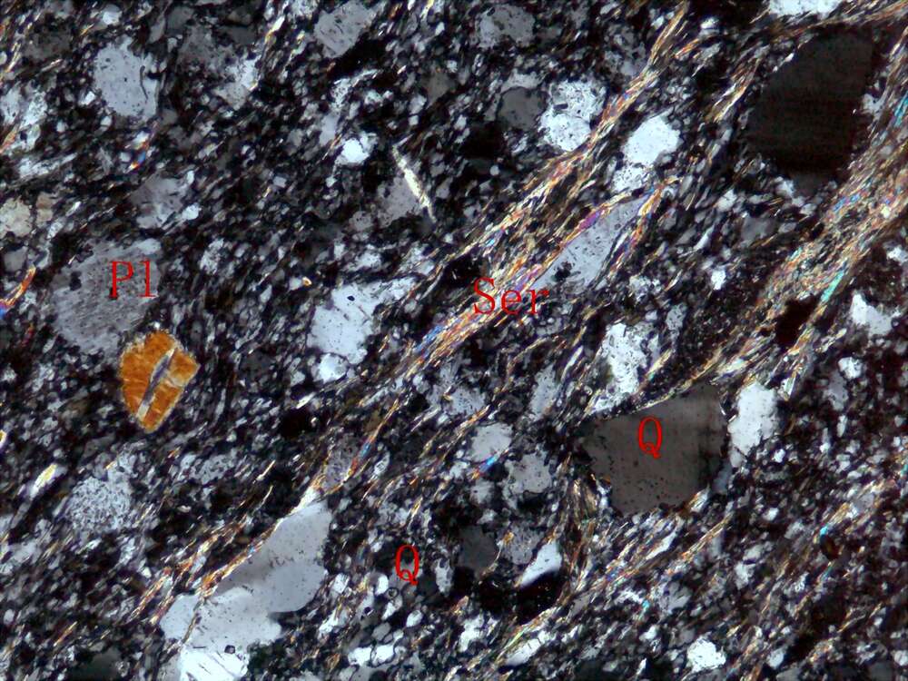 强片理化蚀变碎屑岩