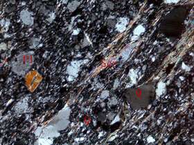 强片理化蚀变碎屑岩