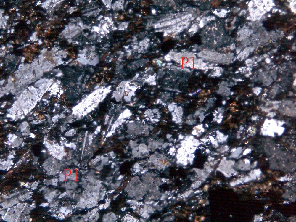 片理化蚀变细粒闪长岩