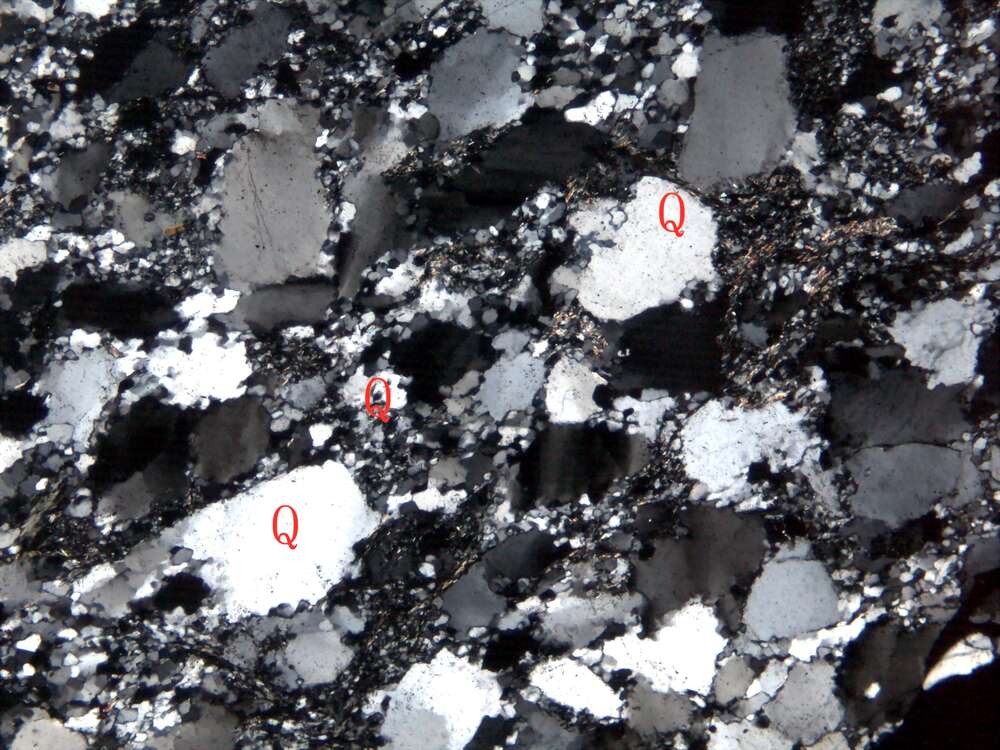 片理化变质中粒岩屑砂岩