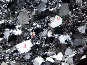 片理化变质中粒岩屑砂岩