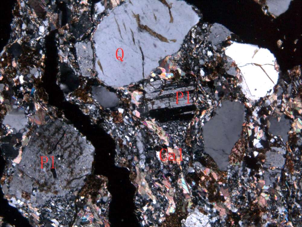 白云质钙质中粗粒长石岩屑砂岩