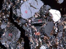 白云质钙质中粗粒长石岩屑砂岩