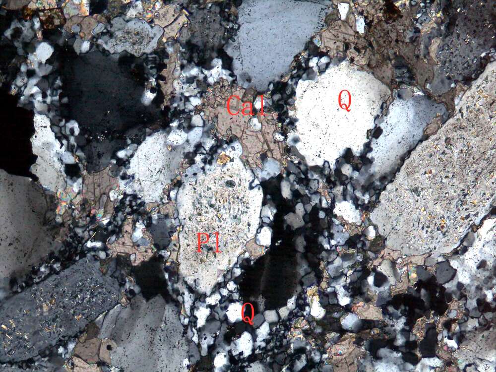 变质硅钙质粗中粒岩屑长石砂岩