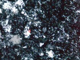 蚀变球粒霏细岩