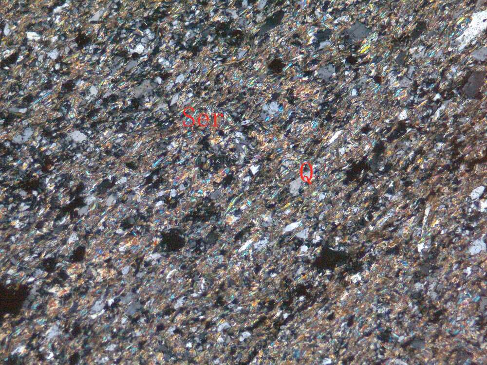 千枚岩化含细砂泥质粉砂岩