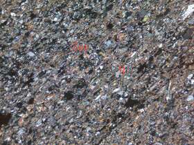 千枚岩化含细砂泥质粉砂岩