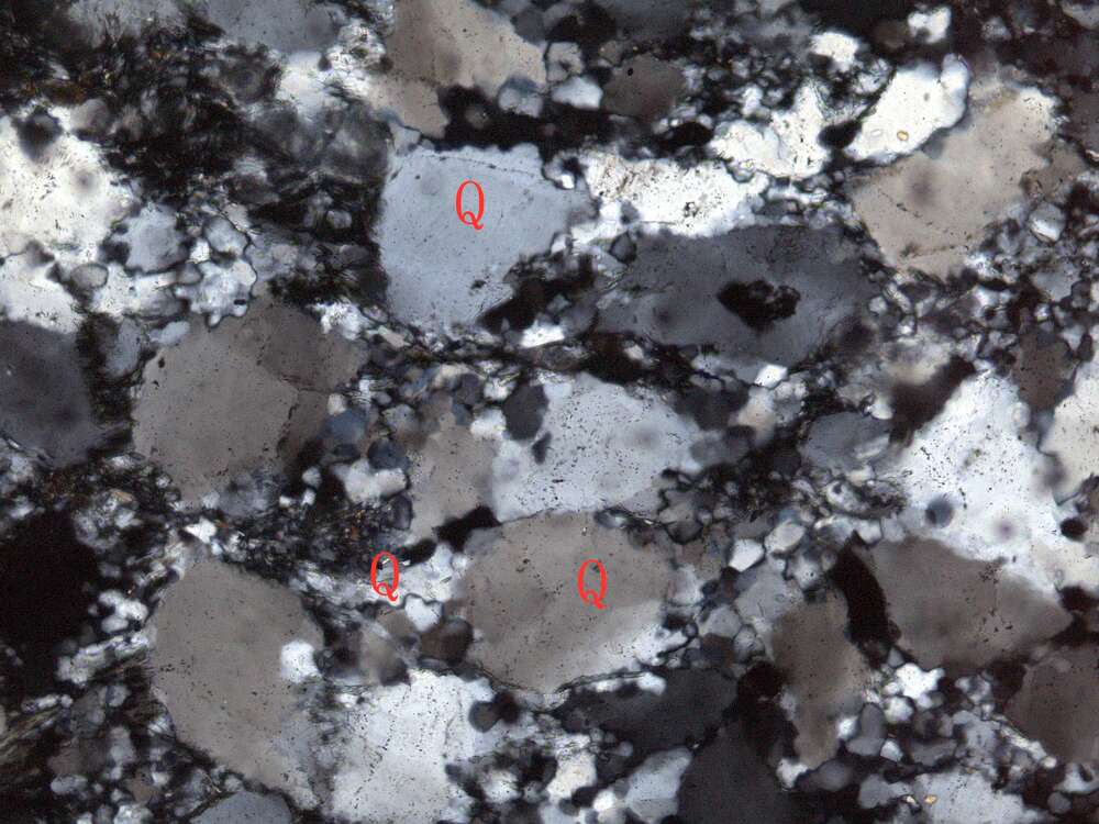 片理化变质中粒岩屑石英砂岩