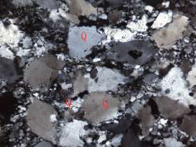 片理化变质中粒岩屑石英砂岩