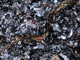 片理化蚀变细粒闪长岩