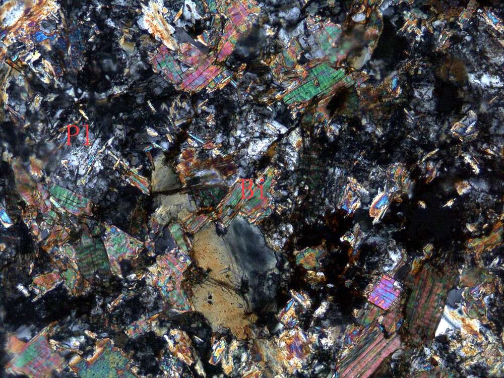 强蚀变细粒闪长岩