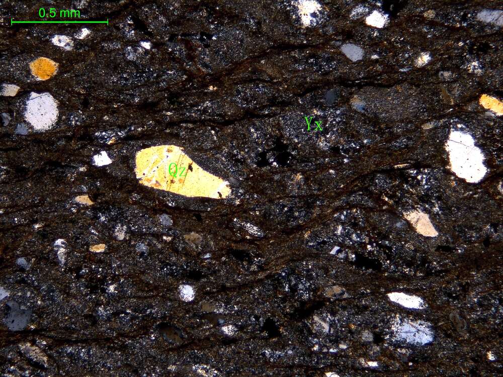 片理化细粒岩屑砂岩