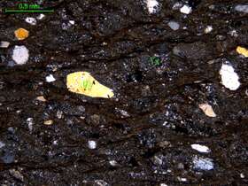 片理化细粒岩屑砂岩