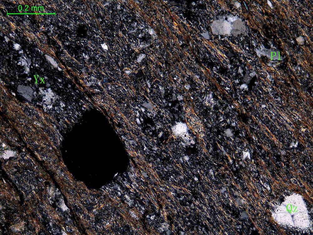 片理化细粒岩屑砂岩