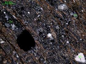 片理化细粒岩屑砂岩