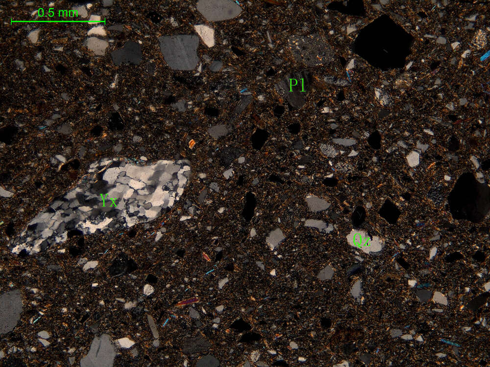 含砾泥质细粒岩屑砂岩